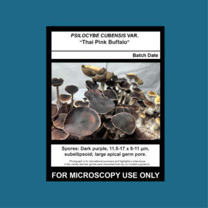 Thai Pink Buffalo Spore Print