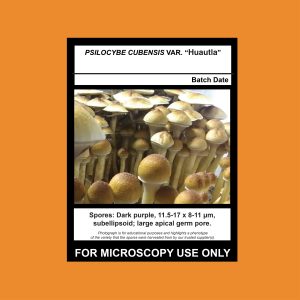 Huautla Spore Syringe