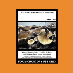 Huautla Spore Syringe