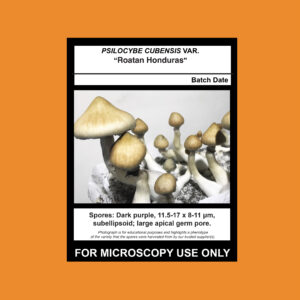 Roatan Honduras Spore Syringe