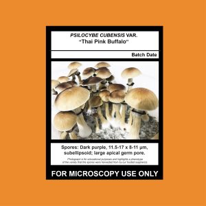 Thai Pink Buffalo Spore Syringe