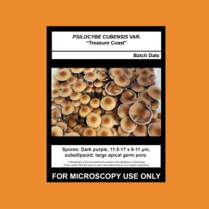 Treasure Coast Spore Syringe