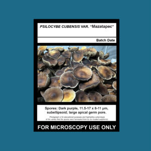 Mazatapec Spore Print