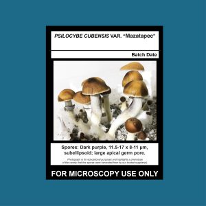 Mazatapec Spore Print