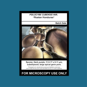 Roatan Honduras Spore Print