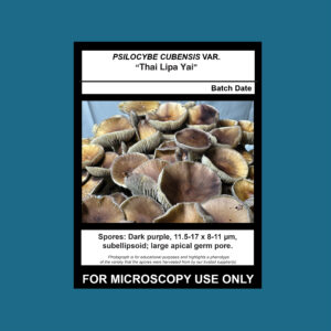 Thai Lipa Yai Spore Print