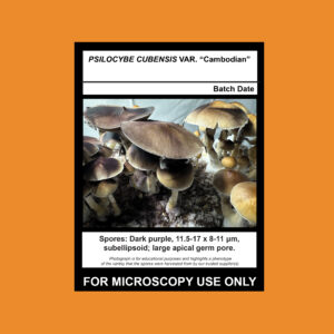 Cambodian Spore Syringe