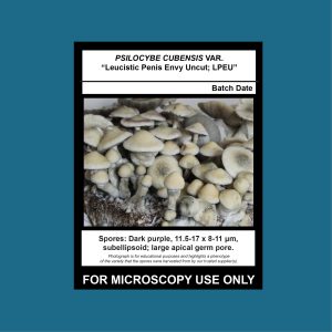 Leucistic Penis Envy Uncut; LPEU Spore Swab