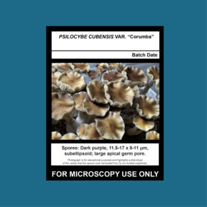 Corumba Spore Swab