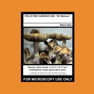 Isolate Clone LC- Limited Release, Premium Syringe