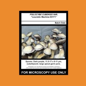 Limited Release- Leucistic Machine Elf F1 Spore Syringe