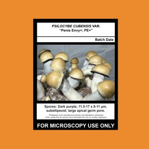 Penis Envy Plus; PE+ Isolate Syringe