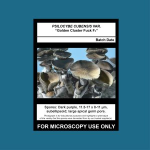 Golden Cluster Fuck F4 Spore Print