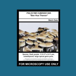 Ban Hua Thanon Spore Print