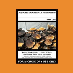 Blue Meanie Spore Syringe