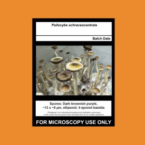 December “Exotic Gift”- Limited Release 3 Syringe Pack