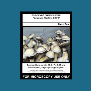 Leucistic Machine Elf F1 Spore Swab