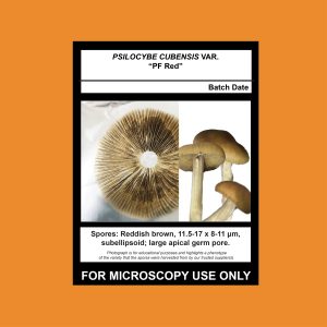 Isolate Clone LC- Limited Release, Premium Syringe