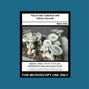 Albino Normak Spore Swab