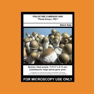 Penis Envy Plus; PE+ Isolate Syringe