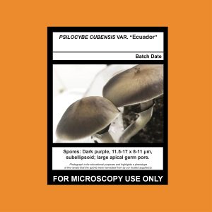 Limited Release- Ecuador Spore Syringe