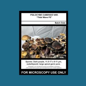 Tidal Wave F5 Spore Print