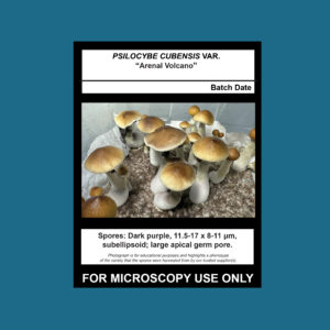 Arenal Volcano Spore Print