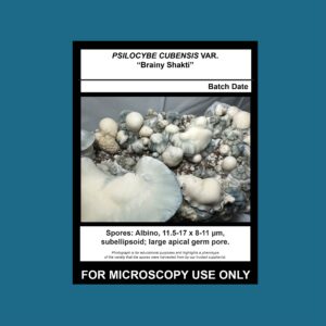 Brainy Shakti Spore Swab