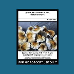 Hillbilly Pumpkin Spore Swab