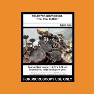 Thai Pink Buffalo Spore Syringe