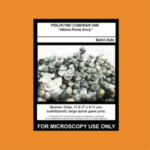 Albino Penis Envy; APE Isolate Syringe