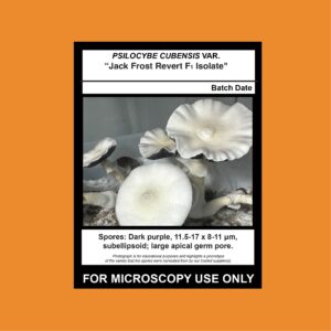 Isolate Clone LC- Limited Release, Premium Syringe