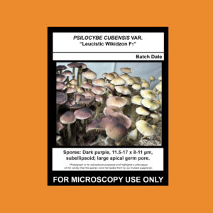 Isolate Clone LC- Limited Release, Premium Syringe