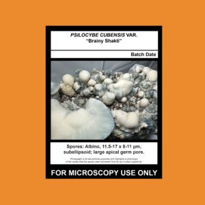 Isolate Clone LC- Limited Release, Premium Syringe