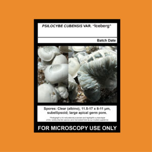 Isolate Clone LC- Limited Release, Premium Syringe